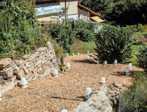 Hochzeit im eigenen Garten