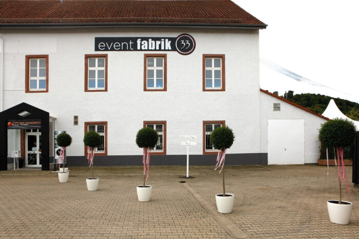 Lorbeer Hochstamm
